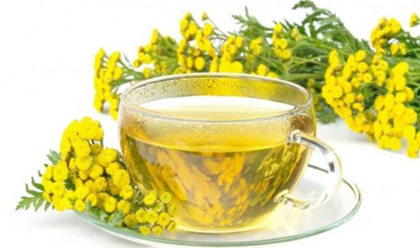Infusion of the base of tansy for effective removal of parasites