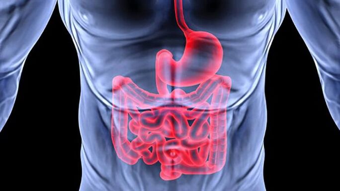 gut