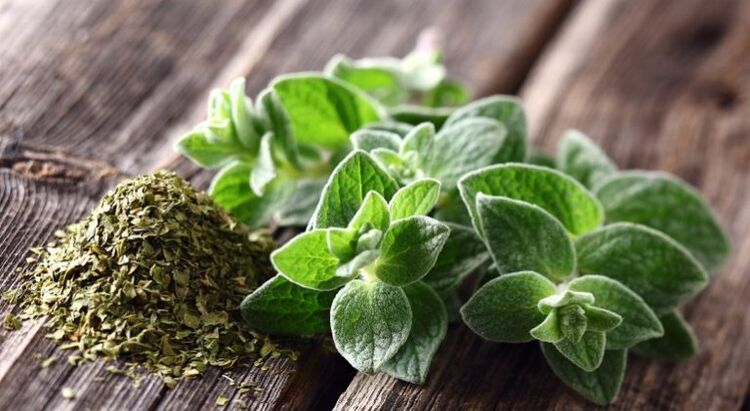 oregano has an antiparasitic effect