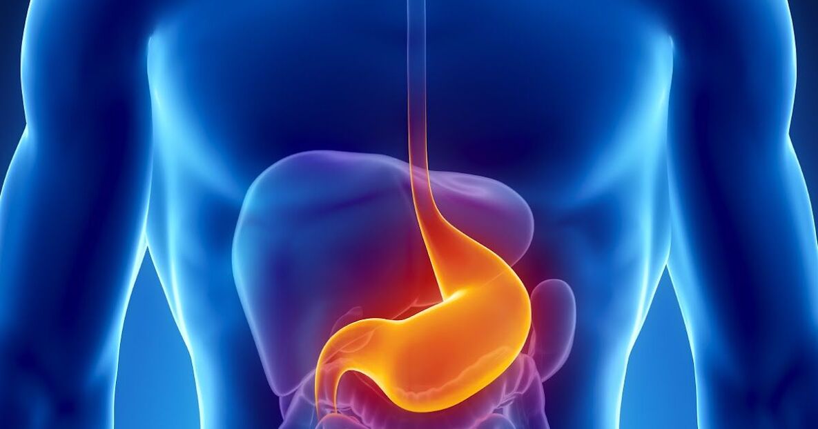 contraindications for cleaning the body from parasites