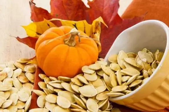 pumpkin seeds for worms